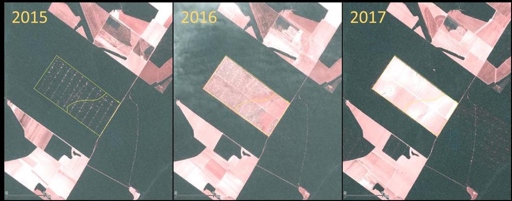 (ver exemplo na Figura 10). Em geral são grandes polígonos, de tamanho médio oscilando entre os 300 e 800 ha.