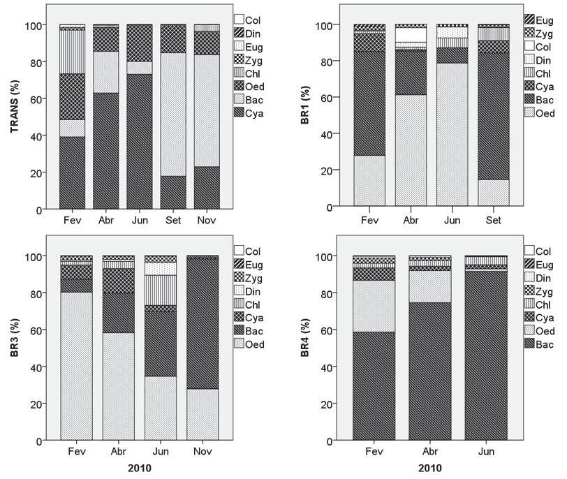 64 Figura 17. Porcentagem das classes de algas perifíticas encontradas durante o período de estudo no reservatório de Itupararanga nas estações amostrais TRANS, BR1, BR3 e BR4.