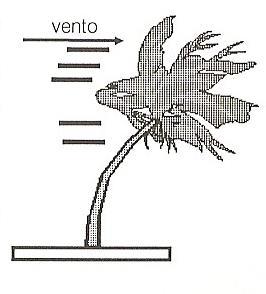 Agora temos um parafuso preso numa madeira e, com uma ferramenta apoiada nessa madeira, tentamos torcê-lo. Se o momento de torção que causamos for suficiente, o parafuso girará.