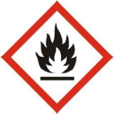 PRODUTO: GAS NATURAL Página 2 de 9 ELEMENTOS APROPRIADOS DA ROTULAGEM - Pictogramas - Palavra de advertência PERIGO - Frases de perigo: Gás extremamente inflamável.