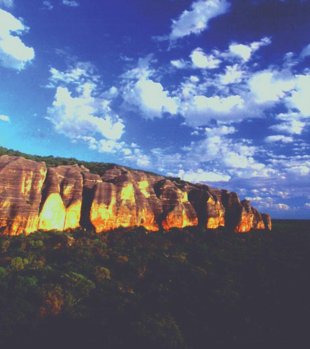 and Parque Nacional da Serra da Capivara (PNSCa). It remains constantly in the shade, and accumulates large layers of leaf litter over sandy soil. 6.