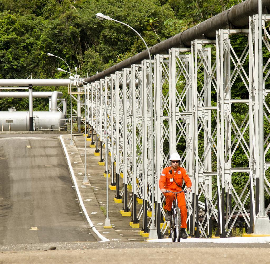 Destaques Gerais O ano de 2015 trouxe várias mudanças para a Petrobras.