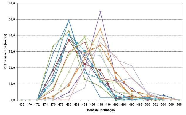 A B Gráfico 04. Em A nota-se a janela de nascimento não cumulativo de aproximadamente 32 horas (média de 24 bandejas), um valor normalmente encontrado nas condições brasileiras.