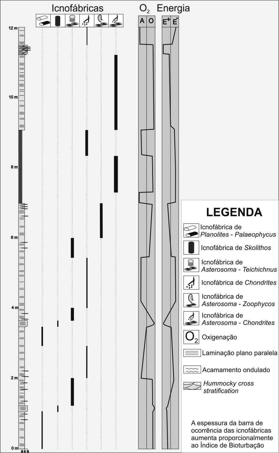 de Asterosoma-Teichichnus, de Asterosoma-Chondrites e de Asterosoma-Zoophycos foram interpretadas como pertencentes à suíte