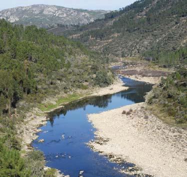 Atravesse-a e suba ao longo do Rio até encontrar a ponte que liga os dois concelhos (à direita), de frente para as duas escarpas que escondem, a montante do Ocreza, uma das preciosidades mais bem