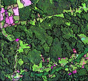 Para a segmentação da imagem Landsat com 5 níveis de compressão, se obteve uma boa delimitação das grandes classes, como extensas unidades de floresta e áreas de pastagem sendo que regiões de