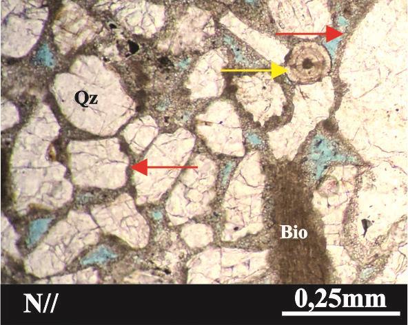 B) Fotomicrografia da amostra FRM-2, com nicóis cruzados, mostrando grãos de quartzo (Qz), plagioclásio (Pl) e epidoto (Ep).