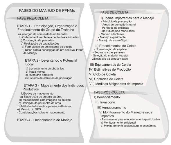 Fases do Manejo Comunitário de PFNMs 2.