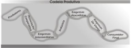 Cadeias Produtivas 4. CADEIAS PRODUTIVAS A cadeia produtiva é formada pelo conjunto de segmentos ou elos pelos quais o produto passa desde sua extração/coleta até o consumidor final.