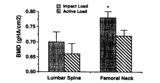 Atividade física moderada como suporte do peso, como corrida e saltos, têm impacto mais positivo sobre a deposição óssea do que atividades que não necessitam do suporte do peso, como a natação