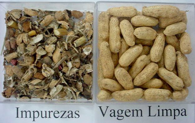 88 Figura 2. Apresentação das impurezas e das vagens de amendoim secas e limpas, Juazeiro Fonte: Brasil, 2010.
