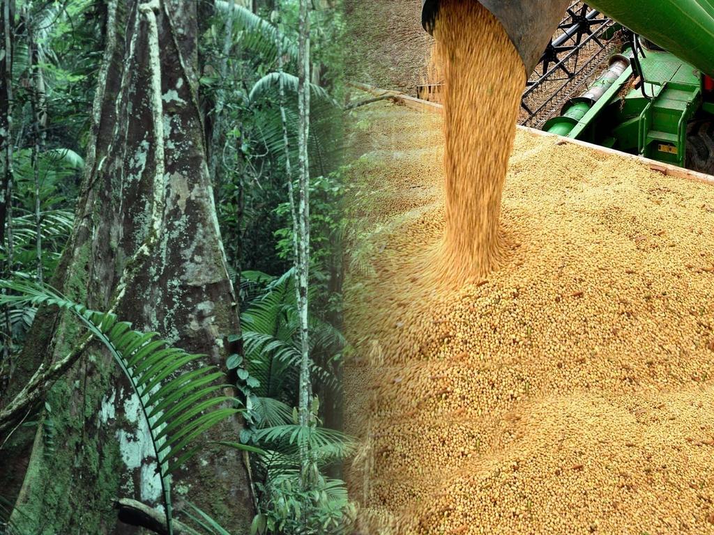 Evolução da produção de grãos em Mato Grosso Últimos 23 anos 35,0 30,0 25,0 20,0 15,0 10,0 5,0 - Área Produção 656% 275% 1990/91 1991/92 1992/93