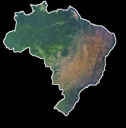 Visão Geral Brasil 5º Área 8.5 milhões km 2 População 185 milhões 6º no mundo PIB de US$ 1.