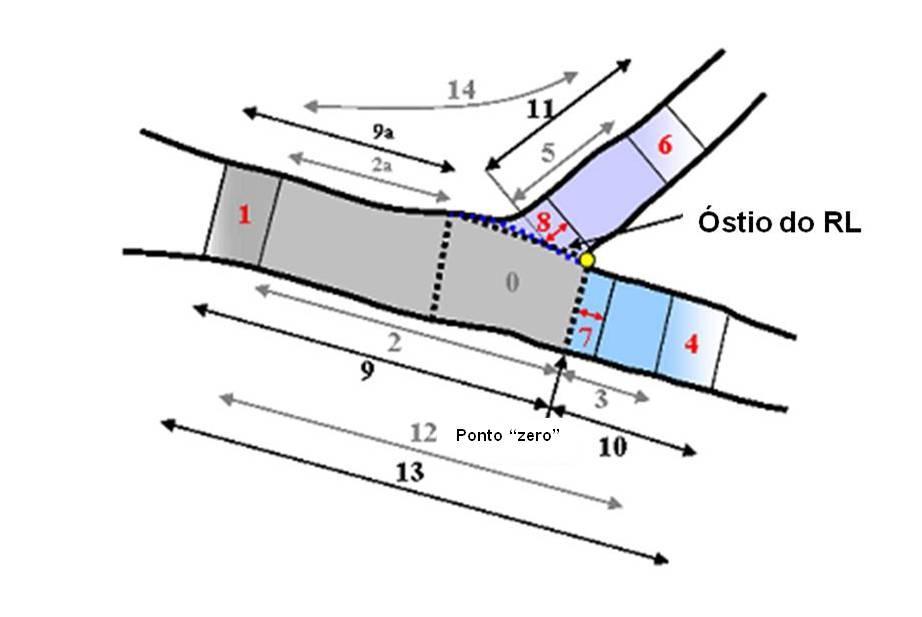 81 Figura 27. Método de ACQ para bifurcações. Ilustração dos segmentos analisados pela ACQ para bifurcações com o sistema QAngio XA versão 7,2 (Medis, Leiden, Holanda). Seg.