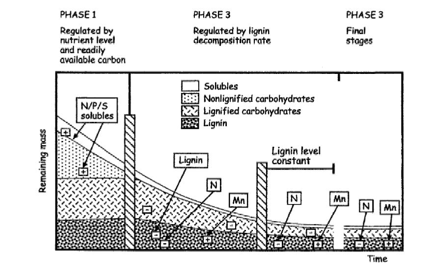 Berg & Meentemeyer (2002) A decomposição consiste em três etapas 1.