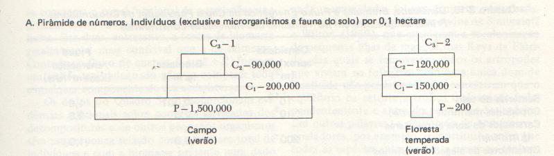 Pirâmides de Números Odum, 1983) Pouco instrutiva em termos ilustrativo: 1. Números variam muito de acordo com o tipo de comunidades, dependendo do tamanho dos indivíduos 2.