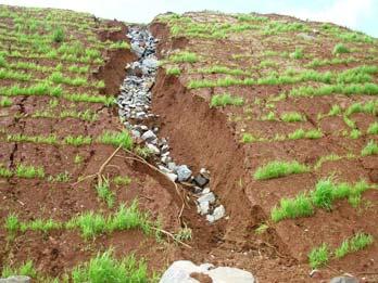 Pilha de estéril com processo erosivo Operações unitárias na lavra a céu aberto (4) Mina de calcário no Paraná - recuperação de áreas degradadas.