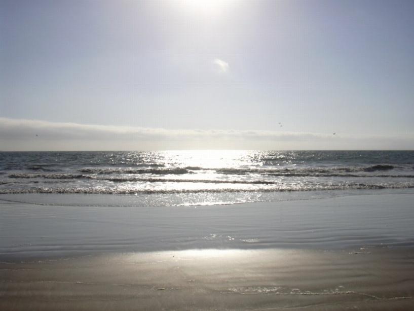 A menina do mar - resumo Era uma vez um menino que ia sempre à praia. Um dia, o menino ouviu uns barulhos de trás de uma rocha. Era uma Menina do Mar, um caranguejo, um polvo e um peixe.