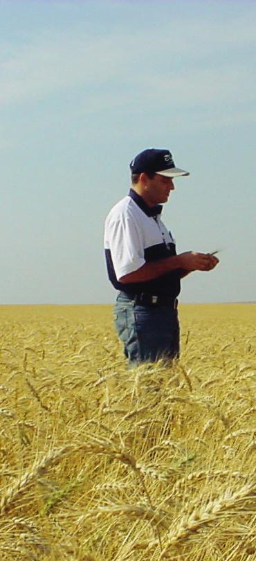 Agricultura de Precisão qual a quantidade de grãos colhidos é utilizado um sensor de fluxo no elevador de grãos limpos da colhedora.