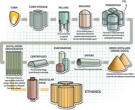 Fermentação a