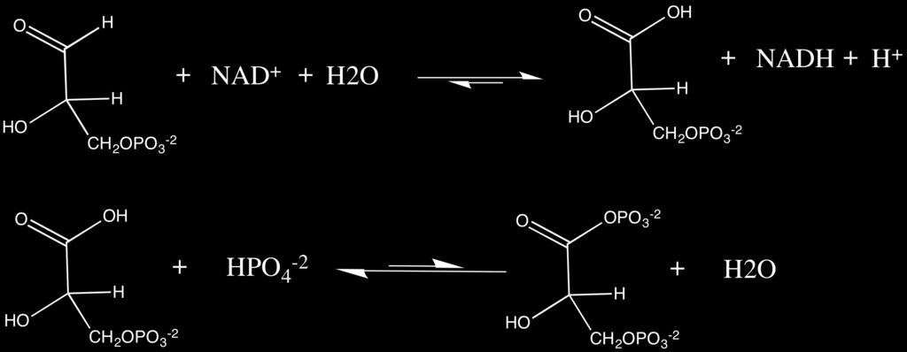 Figura 22. Reação de oxidação e adição de ortofosfato catalisada pela gliceraldeído- 3-fosfato desidrogenase. Reação 6.