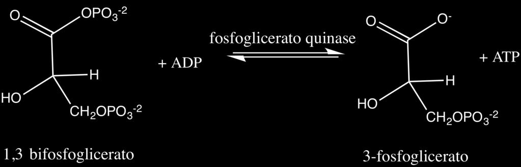 Essa reação é catalisada pela enzima fosfoglicerato quinase (Figura 23). Figura 23. Reação catalisada pela fosfoglicerato quinase.