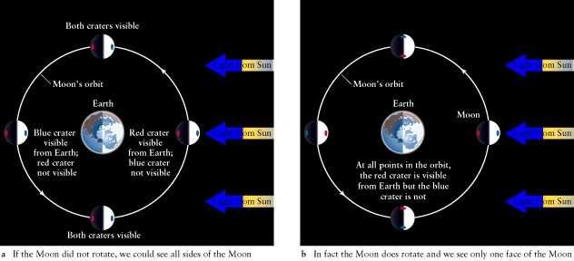 Vemos sempre a mesma face da Lua a partir da Terra (figura da direita).