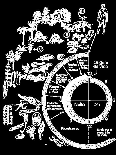 História da vida na Terra Se convertermos toda a