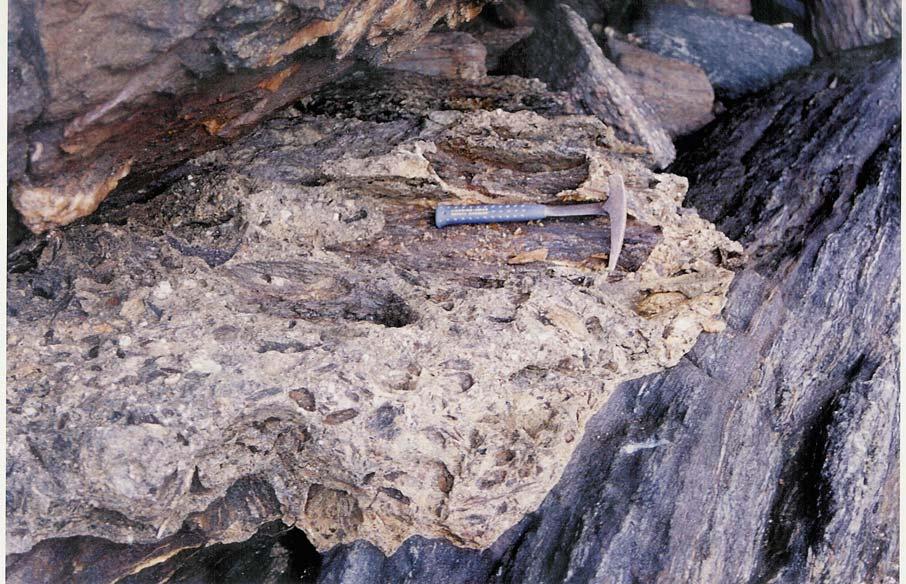 Figura 6 - Afloramento de arenito de praia (beach rock) encontrado na face norte da Ilha dos Papagaios, indicado por br1 na Figura 1.
