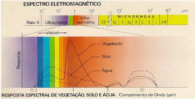 Cada objeto na superfície terrestre apresenta uma curva, que indica a refletância espectral de cada um deles, nas diferentes bandas espectrais que compõem os sensores remotos.