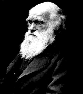 EVOLUÇÃO- DARWIN Charles Darwin (1809-1882), naturalista inglês, coletou seus dados principalmente da viagem iniciada em 1831.