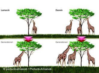 LAMARCK X