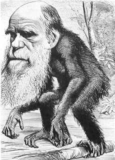 A teoria evolucionista