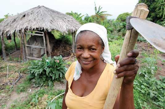 EDMAR WELLINGTON / ASN GOiás Cartilha de Acesso ao Pronaf 2011-2012 50% (cinquenta por cento), para renda bruta proveniente da produção de açafrão, algodão-caroço, amendoim, arroz, aveia,