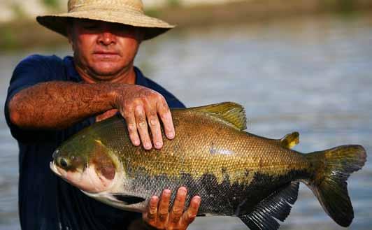 Ueslei Marcelino / banco de imagens / MPA Confira outros públicos atendidos pelo PRONAF: I Pescadores artesanais: são os que se dedicam à pesca artesanal, com fins comerciais; podem ser autônomos,