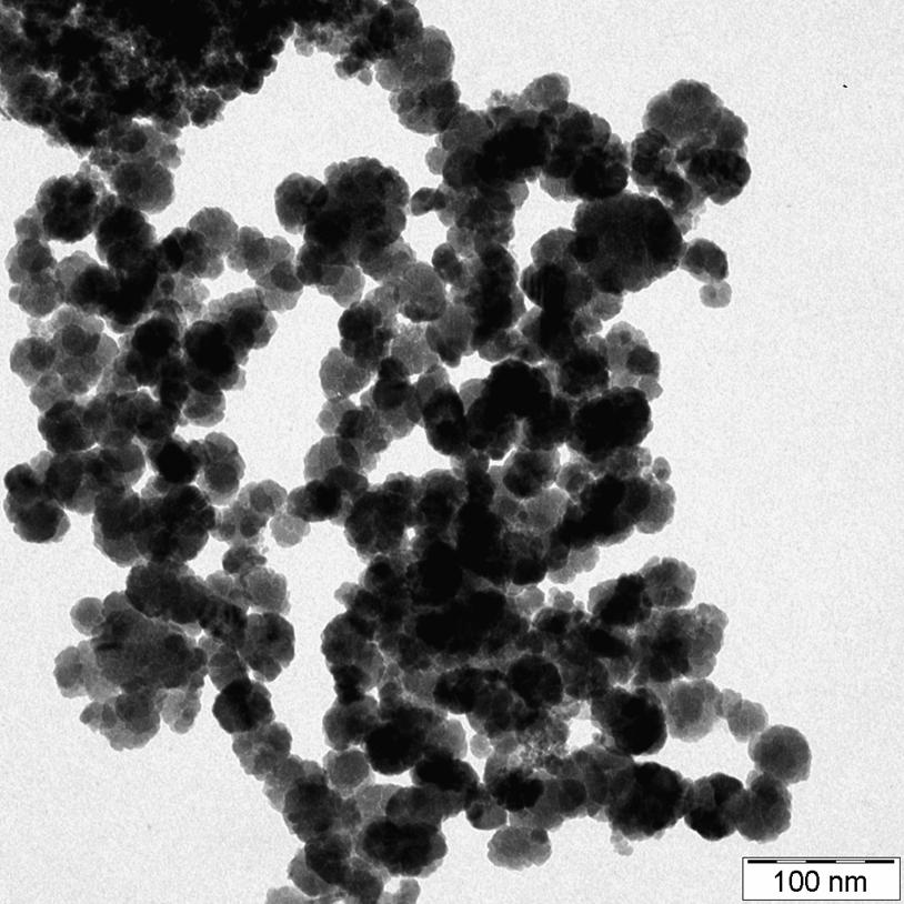 Introdução Caracterização FZVn Figura 2: Microscopia