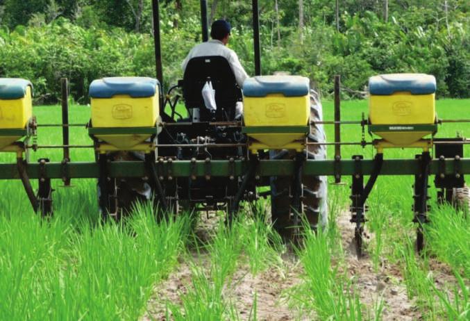 Efetuou-se todas as operações de correção do solo e adubação conforme as exigências da cultura do arroz, utilizando-se duas gradages aradoras e duas niveladoras, efetuadas antes do