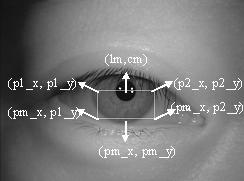 pl pc lm centro(lm,cm) uc ul cm Figura 2: Identificação dos pontos 2.