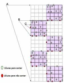 Método para Contagem de Células Peencher a câmara de contagem com a amostra e contar o número de células presentes em N quadrados; Considerando que cada poço é constituído por 10 quadrados, cada