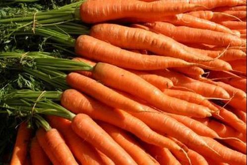 Cenoura faz bem para a visão?