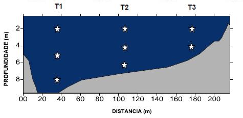 34 Figura 3 Perfil esquemático do transecto amostral, com os pontos marcados pelas estrelas indicando o ponto amostral de coleta de água (MELADO, 20