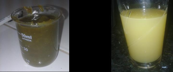 A Figura 2 mostra o suco obtido após reconstituição do suco concentrado, que foi elaborado para a etapa de análise sensorial. Figura 2. econstituição do suco concentrado de abacaxi com hortelã.