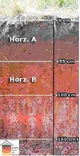 1: Evolução dos solos Toda classificação dos solo é feita com base em características do horizonte B, quando este existir, caso contrário, considera-se o horizonte A.