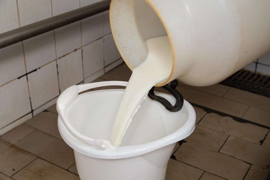 manual e/ou ordenha mecânica em balde: 1º Homogeneizar o leite,