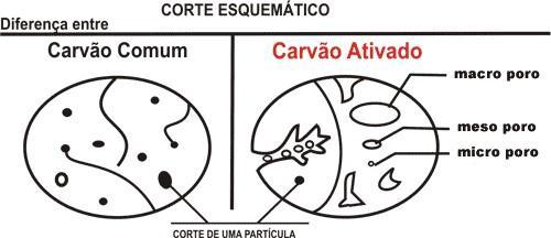 1.3 A escolha do aguapé A escolha do aguapé do material deve-se as suas características, além de ser um material de baixo custo, é um composto considerado daninho ao meio ambiente.