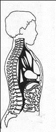 Reeducação Postural Global -