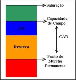 com Macroporos: diâmetro superior a 0,1 mm Perdem água facilmente pela ação da gravidade Microporos: diâmetro menor que 0,05 mm Maior capacidade de