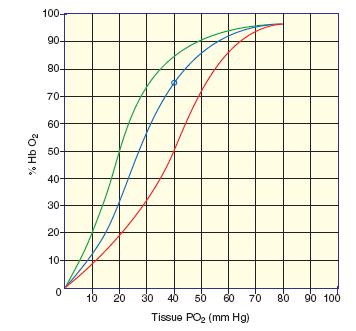 Curva de dissociação do O 2 Diminuição de 2,3-DPG Diminuição de temperatura Alcalose