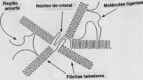 Um cristal polimérico pode crescer de