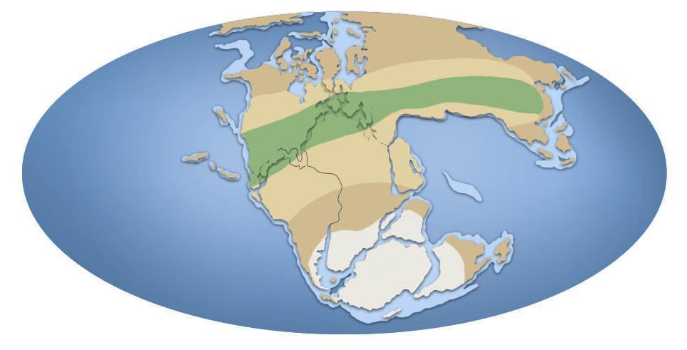 Clima tropical Clima desértico Glaciares Argumentos paleoclimáticos - Foram descobertos indícios geológicos de glaciares antigos, característicos de climas muito frios, em zonas quentes atuais.